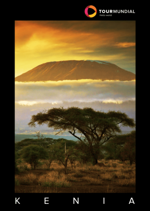 Captura de pantalla 2024-03-27 180514