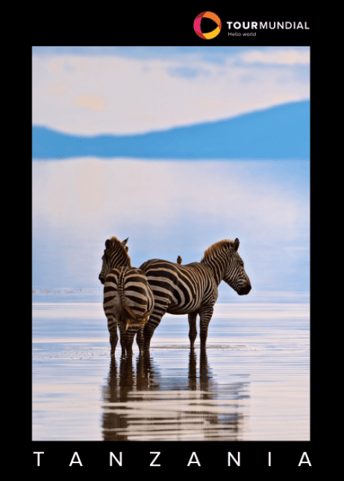 Captura de pantalla 2024-03-27 180622