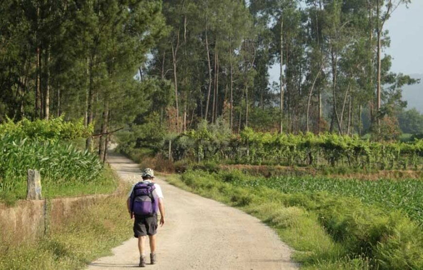 Camino Portugués desde Tui