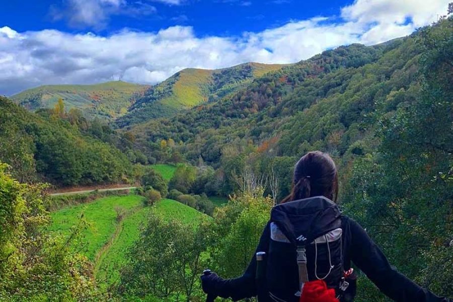 Camino Francés desde Sarria