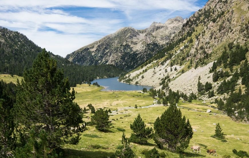 Gerona y Sur de Francia con TDViajes 2026