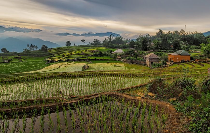 Vietnam con TDViajes 2026